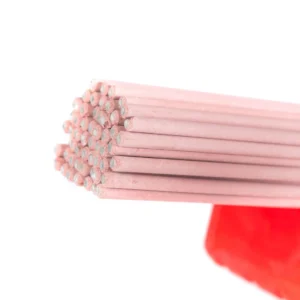 Stainless Steel Electrodes